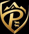 PilotOne