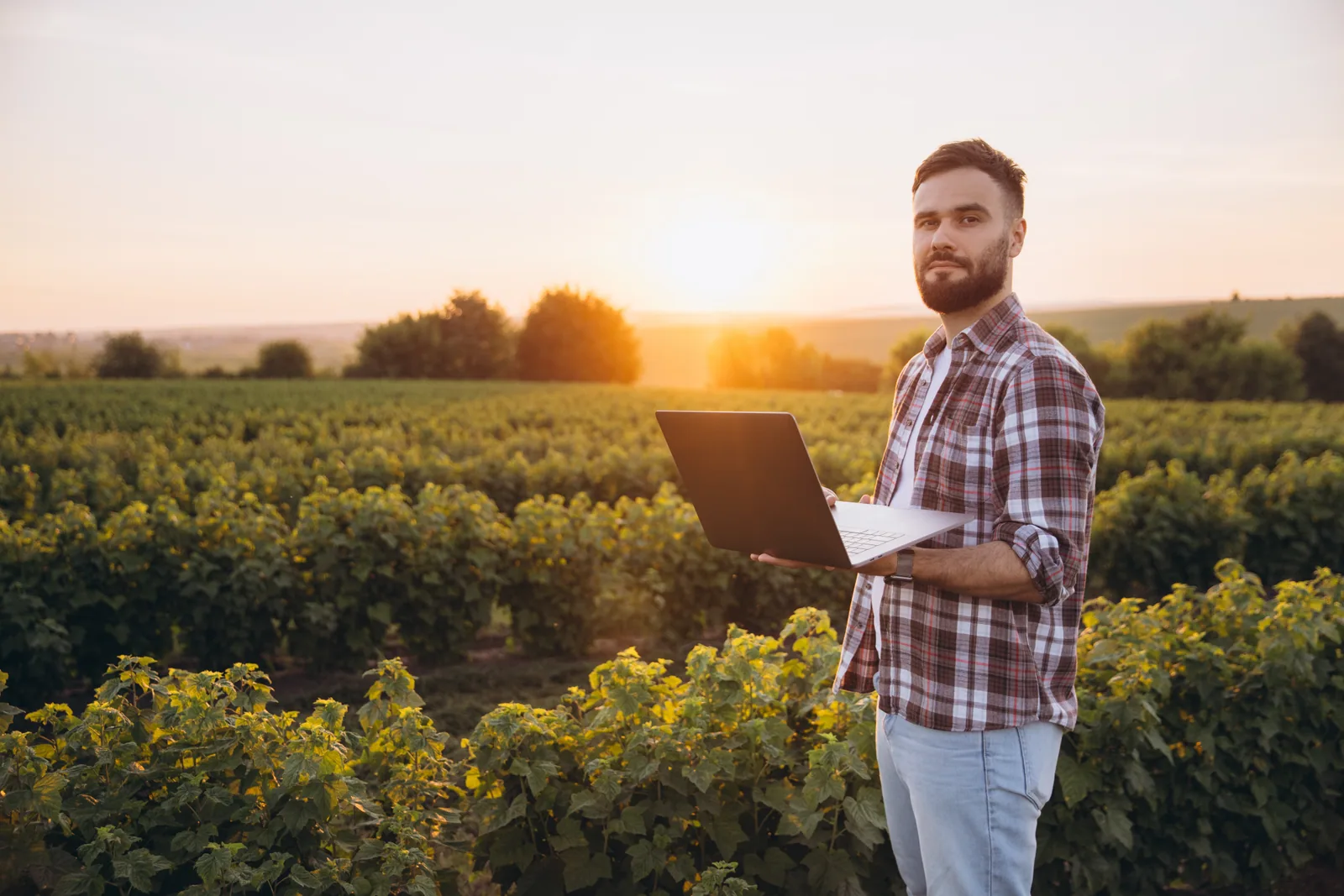 Un technicien viticole avec laptop dans les vignes
