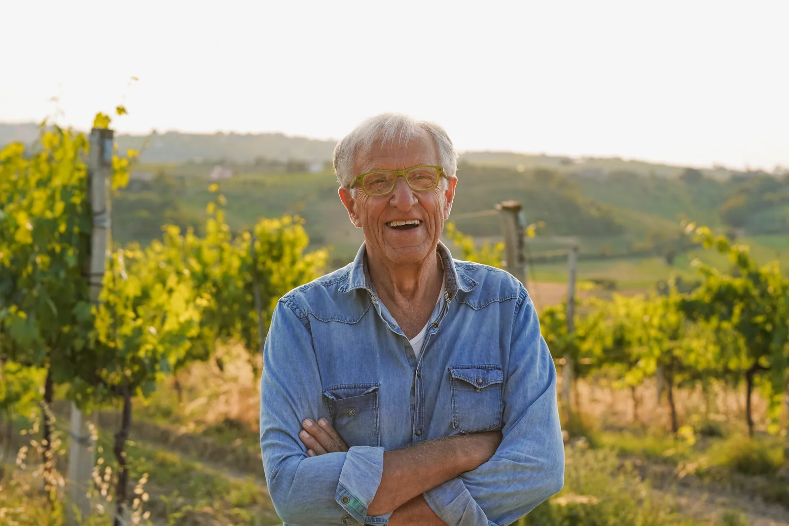 Vigneron mature dans ses vignes, taille en hiver